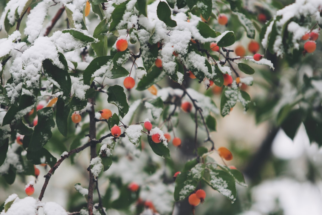 Photo Winter skincare: moisturizer, gloves